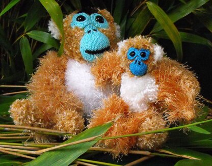 GILBERT AND BABY GEORGE THE GOLDEN MONKEYS