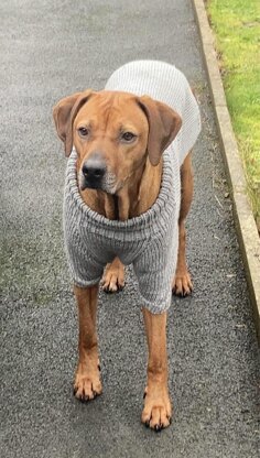 Big Comfy Dog Sweater