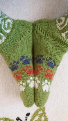 Cats & Paws Socks