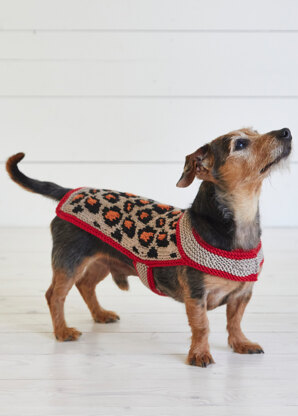 Leopard Pooch - Dog Coat Knitting Pattern For Pets in Debbie Bliss Rialto Aran by Debbie Bliss