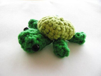 Mini Turtle