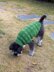 Kroko dog sweater