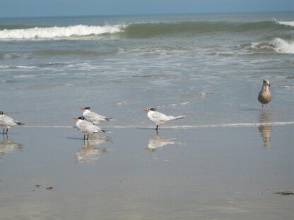 Outer Banks