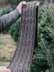 Open and Fold Cabled Scarf