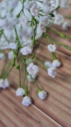 Baby's breath gypsophila