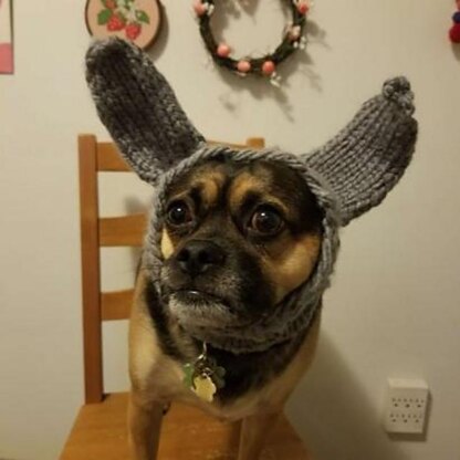 Bunny Love Dog Snood