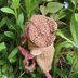 Froggy's Summer Hats