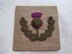 Knitted Thistle