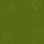 Seaweed