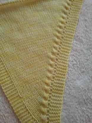 Joanie's Shawl