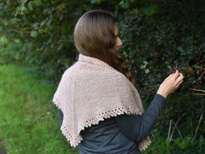 Statice Shawl