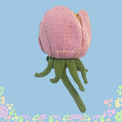 Magnolia
