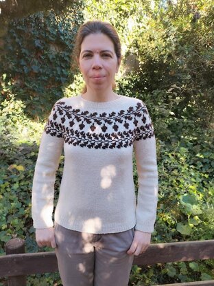 Squirrel Nest Sweater