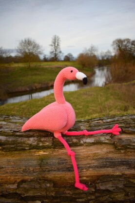 Felipe Flamingo