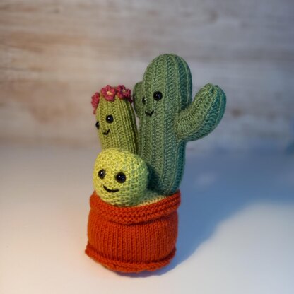 Knitted Cactus Family