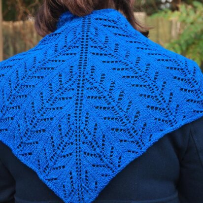 Moth Shawl