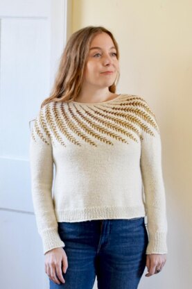 Debbie Bliss Diagonal Yoke Sweater PDF at WEBS