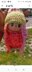 La Aviator Hat Doll Pattern