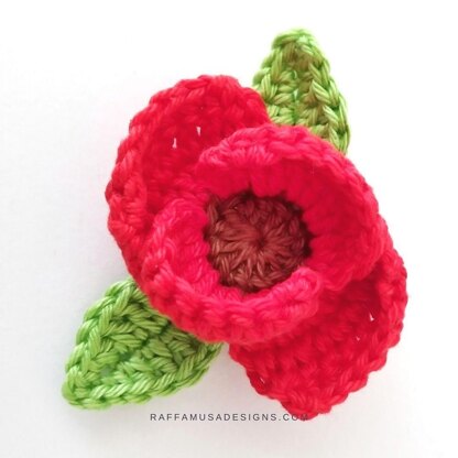 Poppy Flower