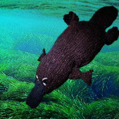 Platypus - knitting pattern