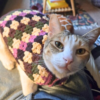 Diamond Striped Cat Sweater