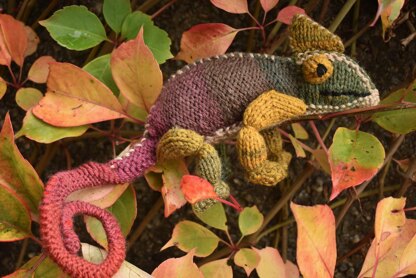 Chameleon