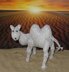 Silver  Camel Toy Animal