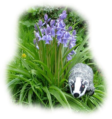 BADGER by Georgina Manvell