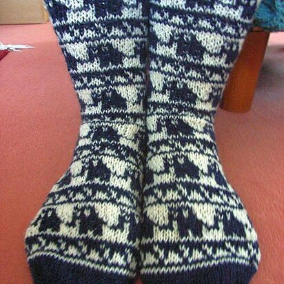 Blue elephant socks