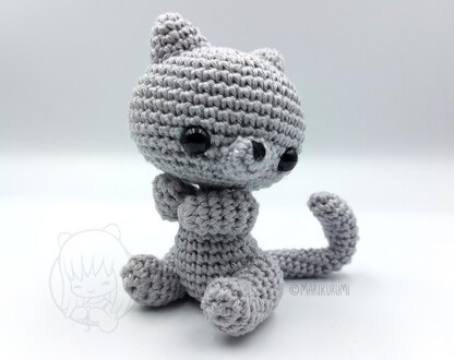 Griffin the Grey Cat