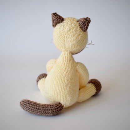 Siamese Cat
