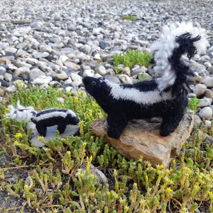 Striped skunk (and mini skunk)