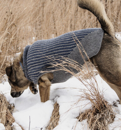 Dog Sweater Loom Knit Pattern Easy Beginner Level Instructions 