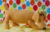 NURSERY SAUSAGE DOG TOY KNITTING PATTERN - MADMONKEYKNITS