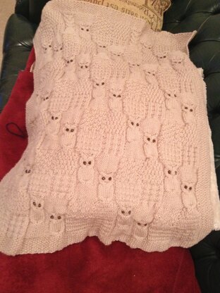 Owl blanket