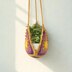 Sun Plant Hanger