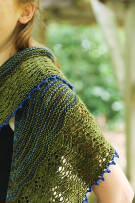 Neverland Shawl