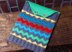 Chevron Madness iPad sleeve