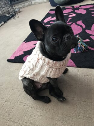 Luna's jumper