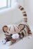 Tabby Kitten Crochet Pattern, Striped Cat Amigurumi