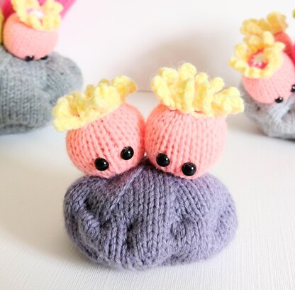 Sea Anemone Garden