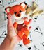 Baby Rattle Foxy