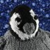 Penny the Emperor Penguin