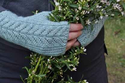 Queen Anne Mitts