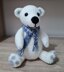 Preston the Polar Bear - US Terminology