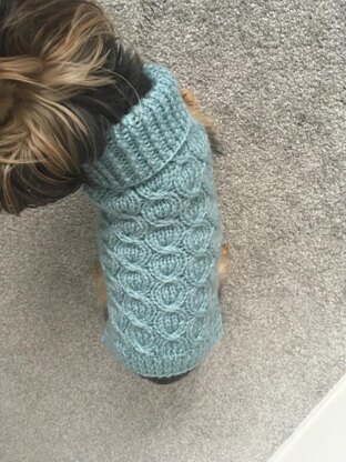 Ocean Wave cabled dog sweater