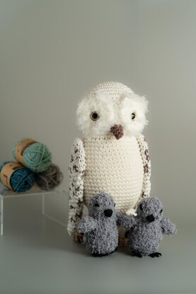 Baby Owl Karel