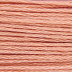 Paintbox Crafts 6 Strand Embroidery Floss 12 Skein Value Pack - Pink Rose (113)