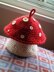 Toadstool / Mushroom Project pouch