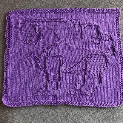 Dishcloth Capricorn Zodiac